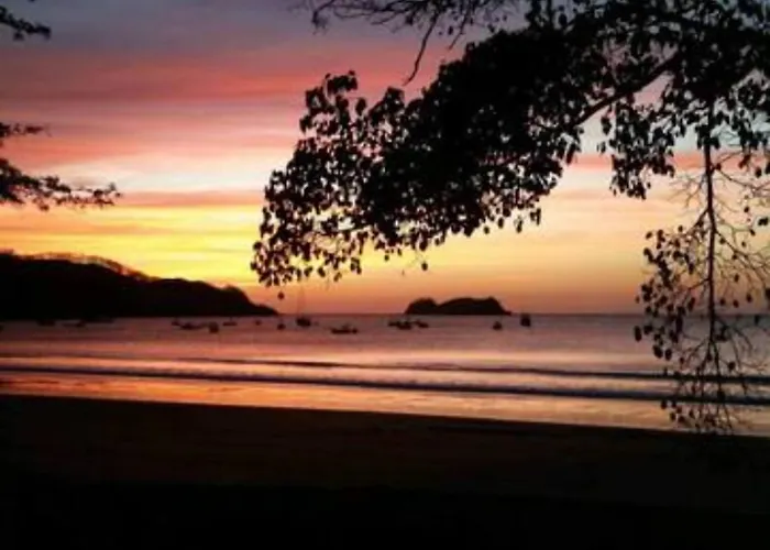 Anona 3*